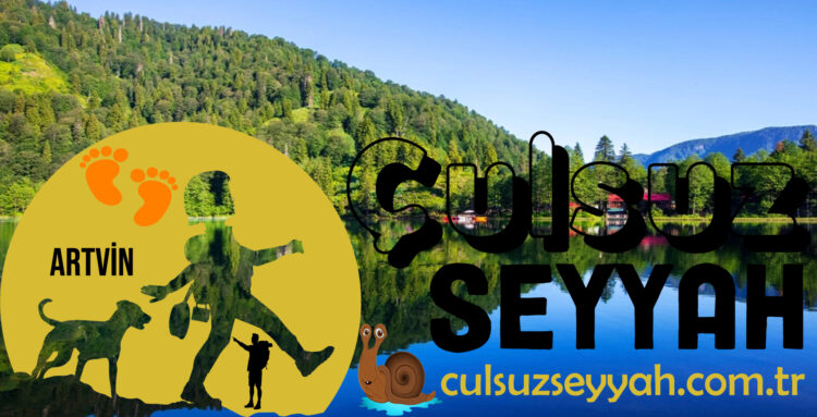 Artvin