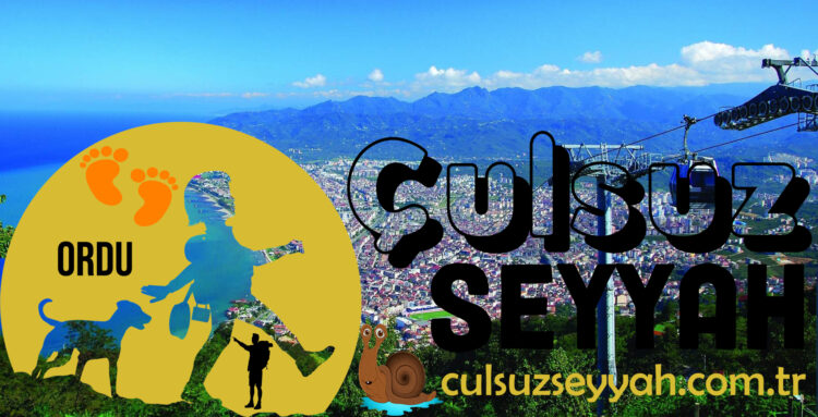Ordu