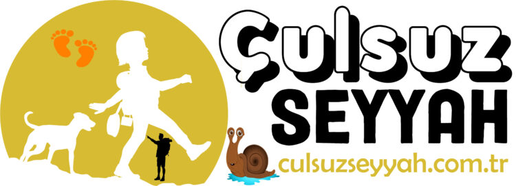 Çulsuz Seyyah